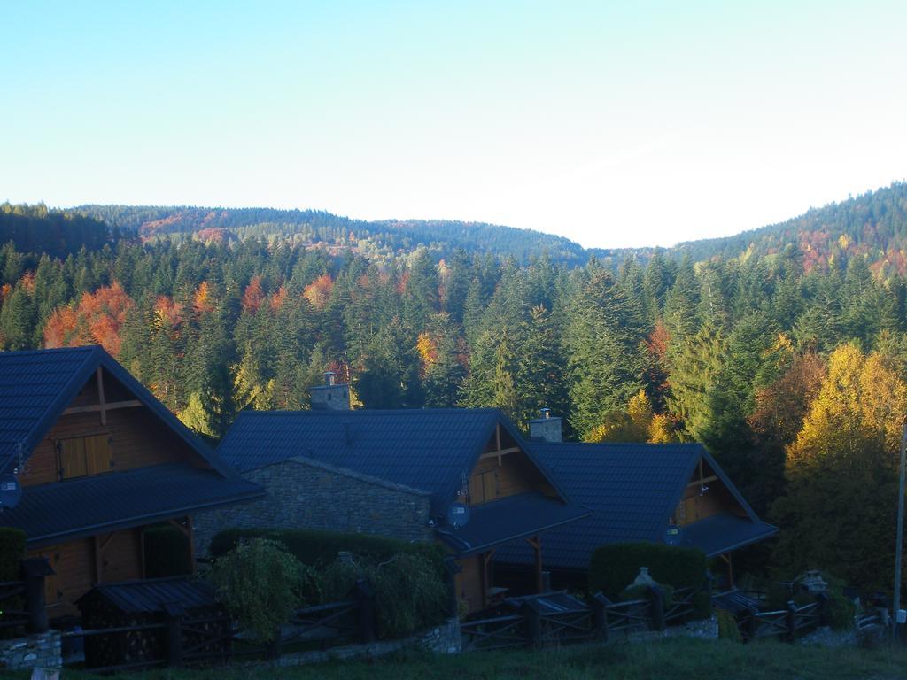 Osrodek Wypoczynkowy Ognisko Hotel กรินีซา ดรอยจ์ ภายนอก รูปภาพ